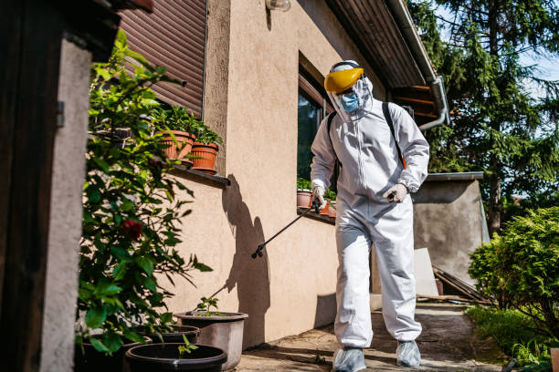 Trusted Valdez, AK Pest Control Experts